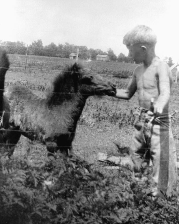 Young Jimmy Carter Petting a Colt 