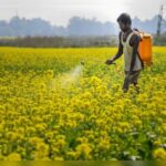 Kisan Diwas 2024: Top government schemes for farmers in India