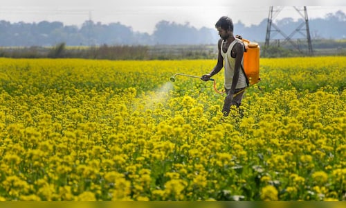 Kisan Diwas 2024: Top government schemes for farmers in India