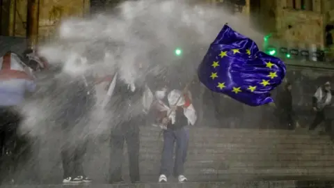 EPA-EFE/REX/Shutterstock Protesters stand on the steps of parliament in Georgia as they are doused with water cannon