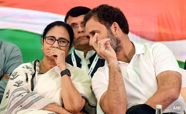 Rahul Gandhi's Role In Question? More INDIA Leaders Back Mamata Banerjee