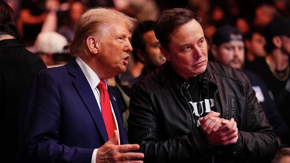 Trump and Musk at UFC fight