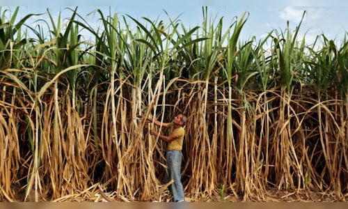 Govt urges sugar industry to diversify into ethanol-diesel, green hydrogen production