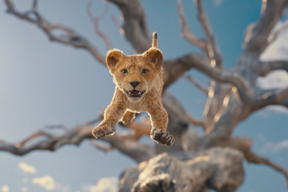 Young cub Mufasa in Mufasa: The Lion King.