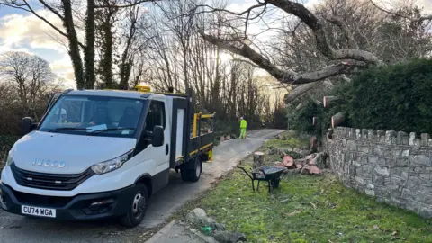 BBC A large white half bed lorry block a rural road line by trees and an stone fence on one side. Trees are down on the fence and logs have been sawed and pilled on a grassy verge. in the far background a man in a high viz top and trousers is stand beside another pile of thick logs stacked on the road. 