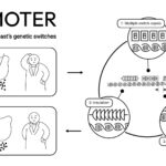 Researchers provide three design principles