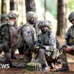 Major war could destroy UK army in six months