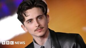 Timothée Chalamet’s portrayal of Bob Dylan praised by critics