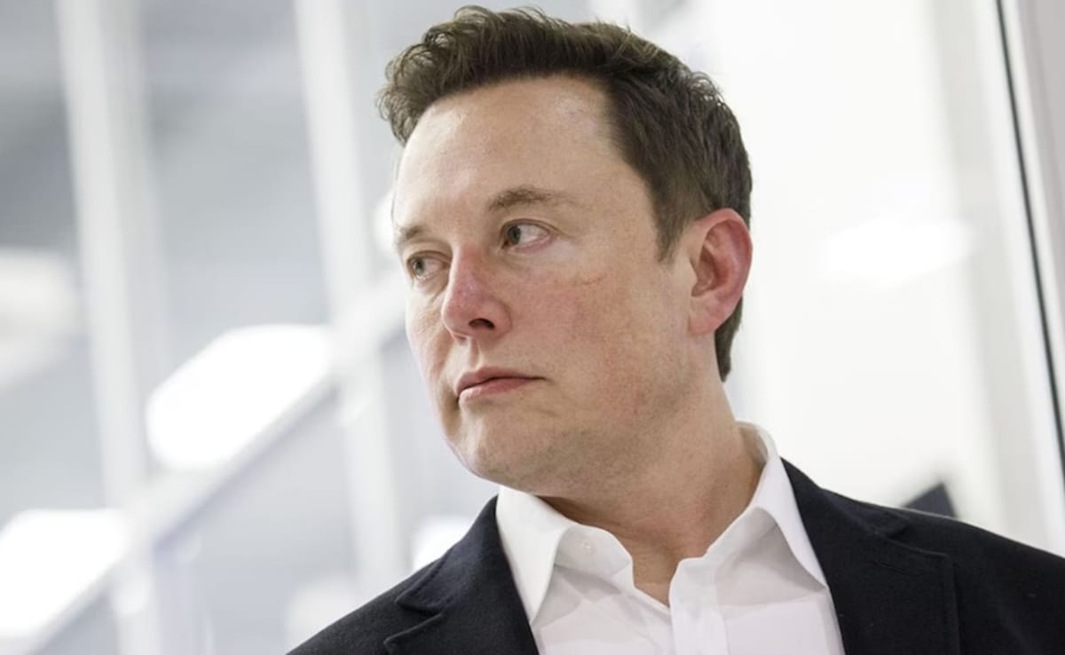 US CEO Asks If Foreigners Taking Jobs Away From Americans, Elon Musk Responds