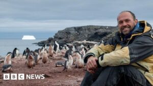 ‘This Christmas I’ll be counting penguins in Antarctica’