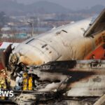 Did bird strike contribute to South Korea plane crash? What we know