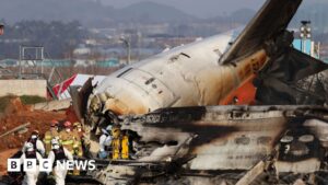 Did bird strike contribute to South Korea plane crash? What we know