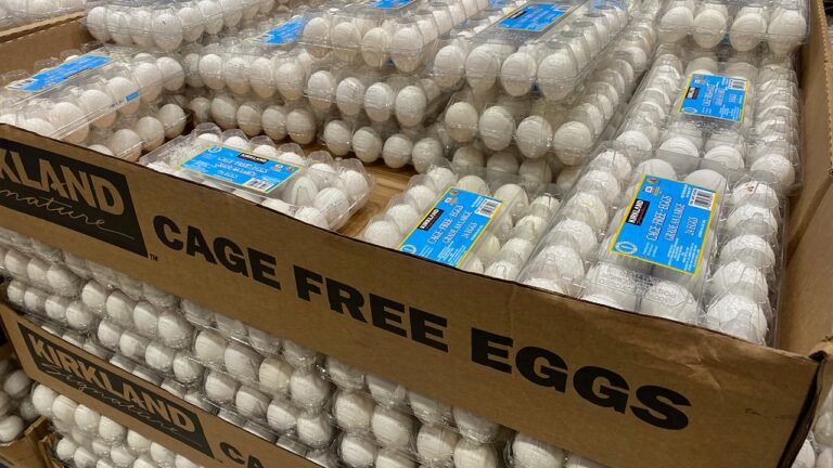 Egg prices in California reach  per dozen in some areas