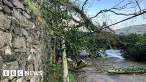 Thousands without power in Northern Ireland