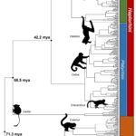 A new way to map the evolutionary history of life on Earth