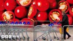 Supermarkets ‘putting profits above human rights’, MP says