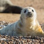 National Trust properties at risk from extreme weather