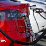 Elon Musk’s Tesla lobbied UK to charge petrol drivers more