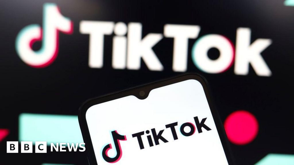 TikTok asks for emergency pause to potential US ban