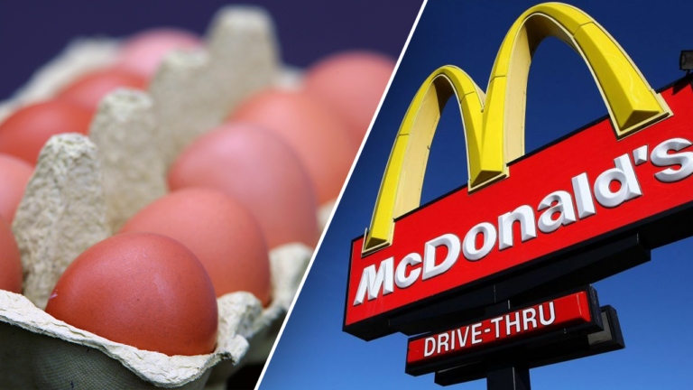 Are there ‘real’ whole eggs on your fast-food breakfast sandwich?