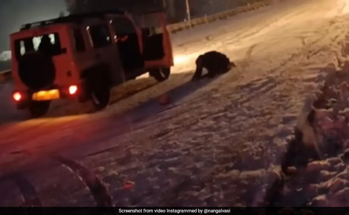 Man Jumps Out Of Moving Car As It Skids On Snowy Road Near Manali