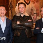 Elon Musk donation talks with Reform UK raise questions over rules