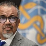 WHO chief says he ‘escaped death narrowly’ in Yemen airport attack