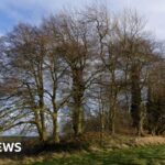 Ancient landmarks closed off to walkers, campaigners say