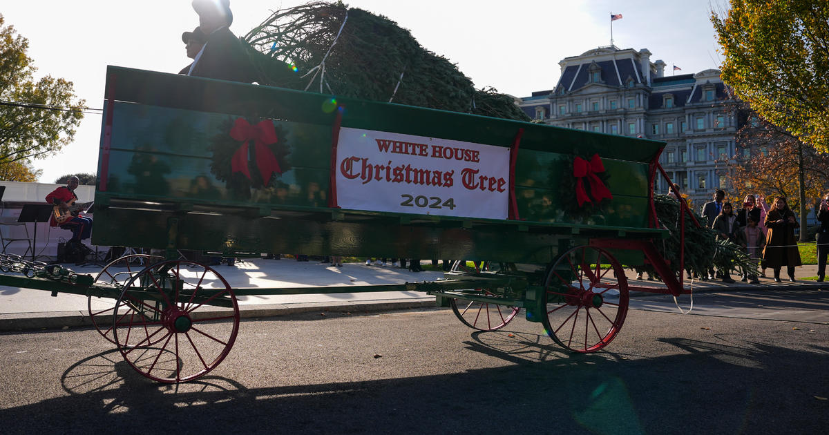 Biden to participate in final White House Christmas tree lighting of presidency