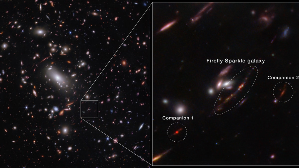 NASA’s Webb Telescope Reveals Firefly Sparkle, a Milky Way-Like Galaxy