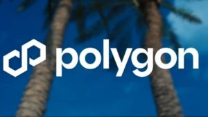 Racial Bias in Web3, Blockchain Boom in Indian Entreprises: Interview With Polygon’s Sandeep Nailwal    