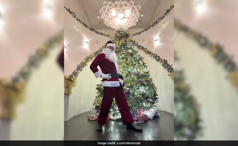 Elon Musk’s Picture In Santa Claus Costume On Christmas