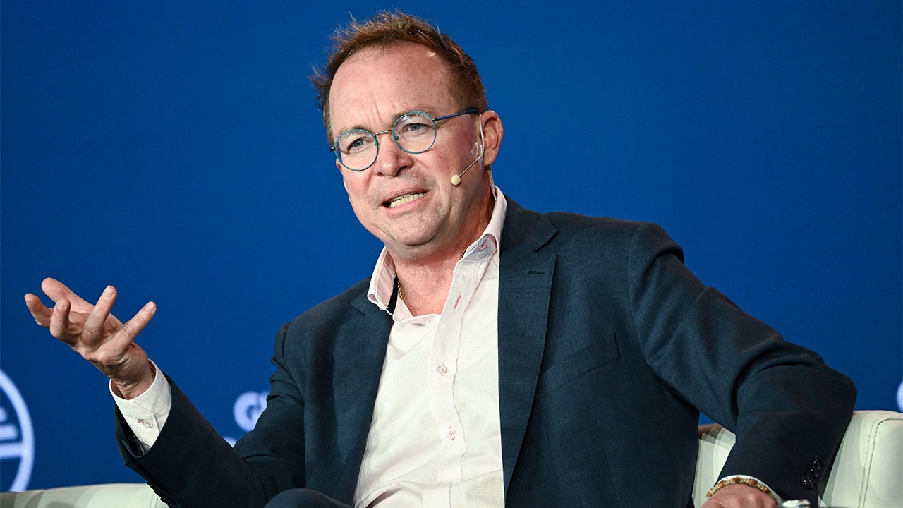 Former WH Chief of Staff Mulvaney says Musk’s DOGE will be ‘most important’ work of second Trump term