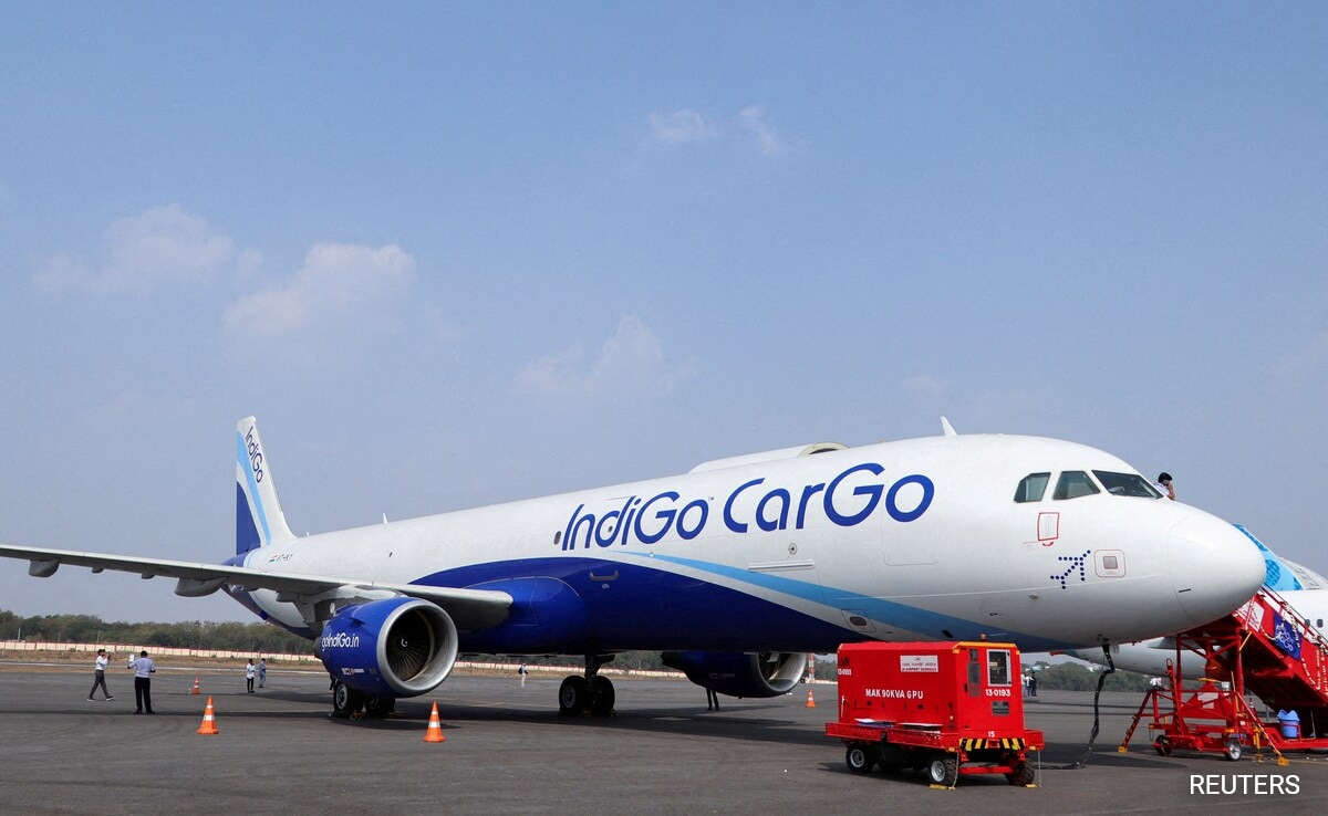 IndiGo Passenger Falls On Plane Ramp, Airline Apologises