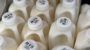 What are the risks of raw milk? Experts warn of increased chances of infection, illness