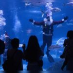 Santa Claus has some fun with sharks at Rio de Janeiro aquarium