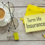 How limited pay term insurance plans work and who should consider them