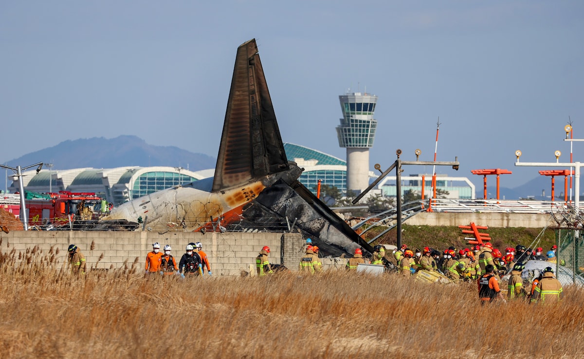 How 2 Crew Members In Deadly South Korea Plane Crash Survived