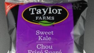 Taylor Farms brand Sweet Kale Chopped Kit recalled due to salmonella risk