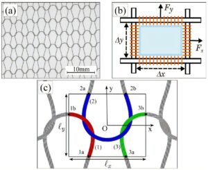 How friction shapes the form of knitted fabrics