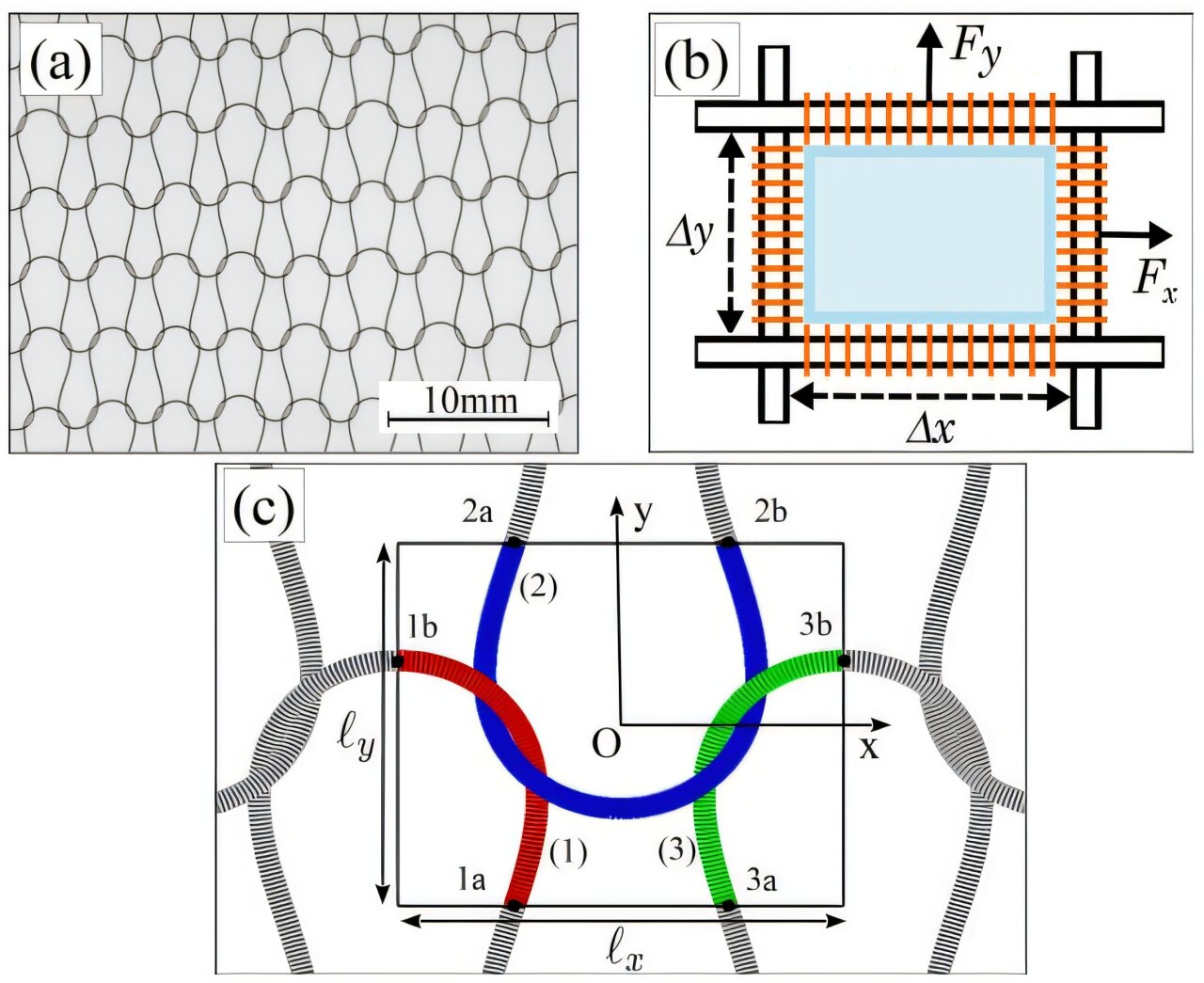 How friction shapes the form of knitted fabrics