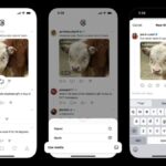 Threads Now Lets Users Reshare Photos, Videos from Others Without Quote Posting