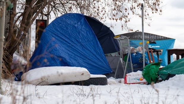 Ontario bill aimed at ending encampments to strengthen trespass, drug penalties