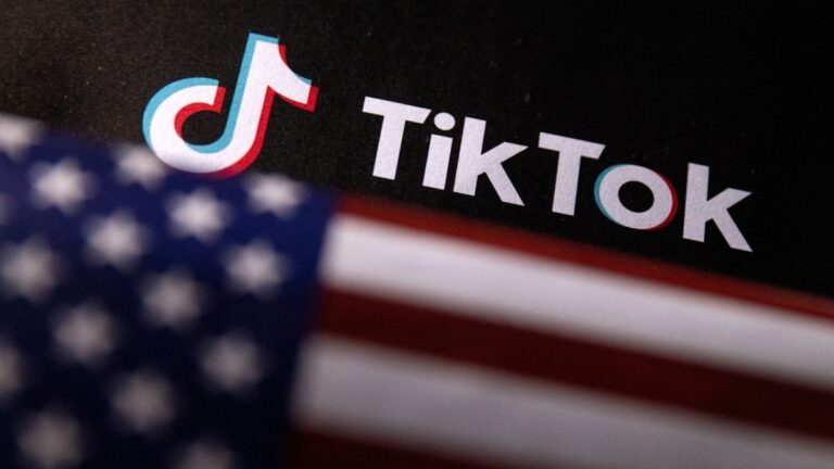 US President-Elect Donald Trump Asks Supreme Court to Pause Law That Could Ban TikTok