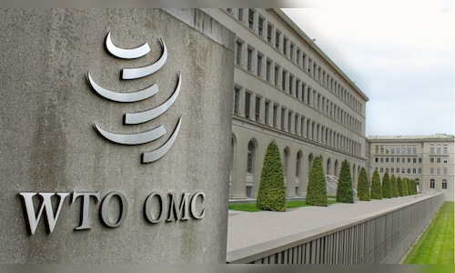 India demands permanent WTO solution on public stockholding before other agricultural issues