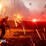 Photos of Los Angeles wildfires show blazes ripping through neighbourhoods