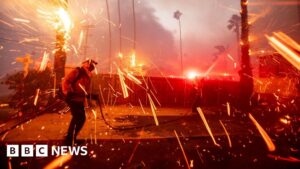 Photos of Los Angeles wildfires show blazes ripping through neighbourhoods