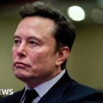 Welsh Refugee Council staff ‘harassed’ after Musk shares X post