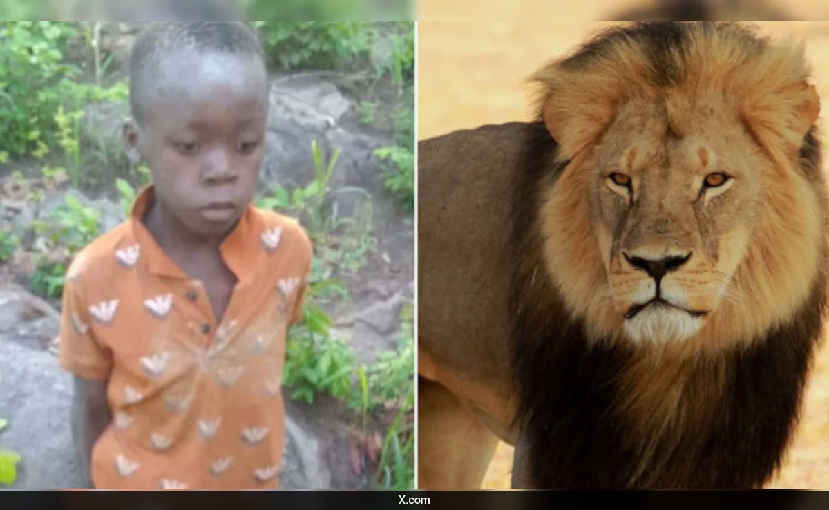 How An 8-Year-Old Boy Survived For 5 Days In Zimbabwe’s Dangerous Lion-Filled Reserve