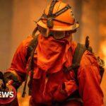 Hundreds of California prison inmates fight wildfires